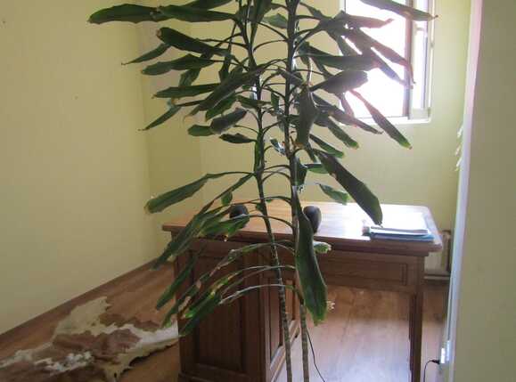 Casa de vânzare 4 camere Central - 27609CV | BLITZ Cluj-Napoca | Poza6