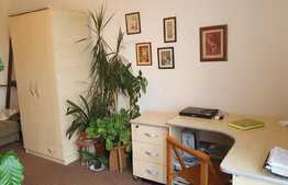 Apartament 2 camere, 46 mp, loc de parcare, zona strazii Tineretului! Pret bun!