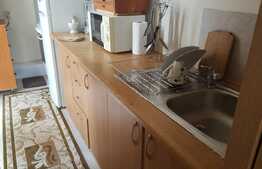 Apartament 2 camere, 46 mp, loc de parcare, zona strazii Tineretului! Pret bun!