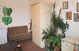 Apartament 2 camere, 46 mp, loc de parcare, zona strazii Tineretului! Pret bun!