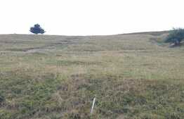 Teren intravilan 2750 mp, front 120 ml, zona linistita