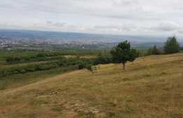 Teren intravilan 2750 mp, front 120 ml, zona linistita