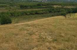 Teren intravilan 2750 mp, front 120 ml, zona linistita