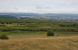 Teren intravilan 2750 mp, front 120 ml, zona linistita