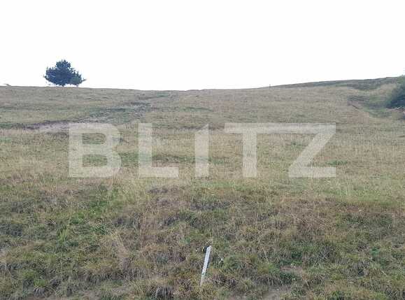 Teren de vânzare Exterior Sud - 27625TV | BLITZ Cluj-Napoca | Poza7