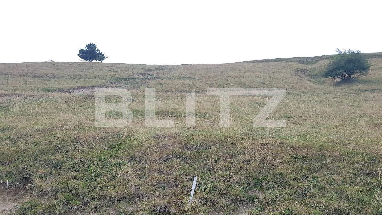 Teren de vânzare Exterior Sud - 27625TV | BLITZ Cluj-Napoca | Poza7