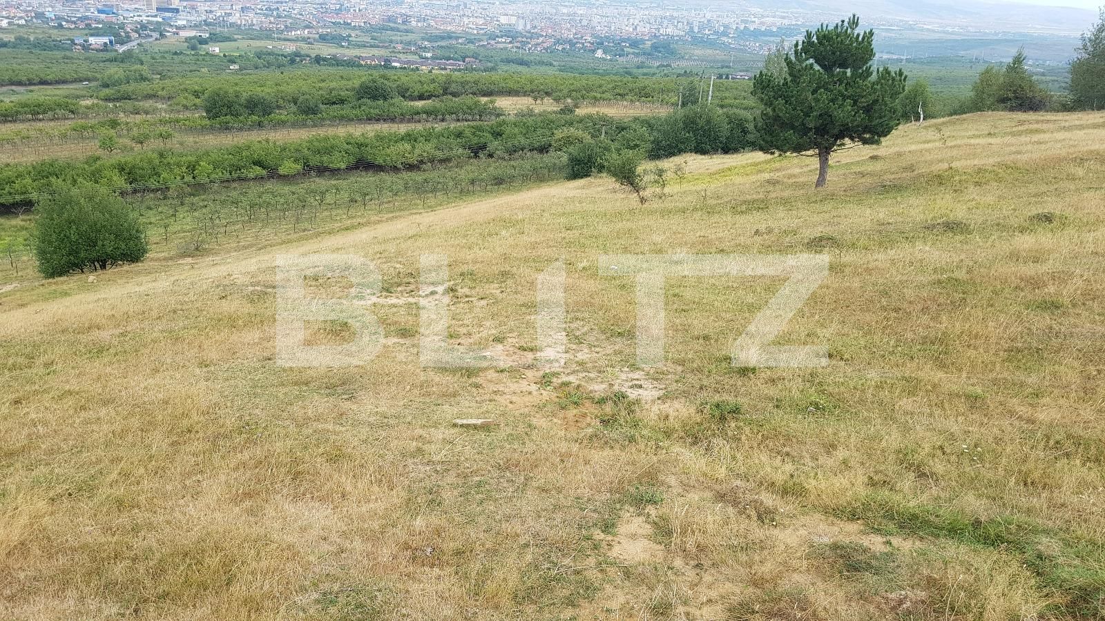 Teren de vânzare Exterior Sud - 27625TV | BLITZ Cluj-Napoca | Poza6