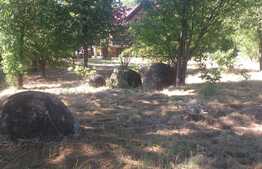 Proprietate cu potential pentru sali evenimente-resort-spa