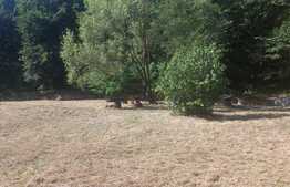 Proprietate cu potential pentru sali evenimente-resort-spa