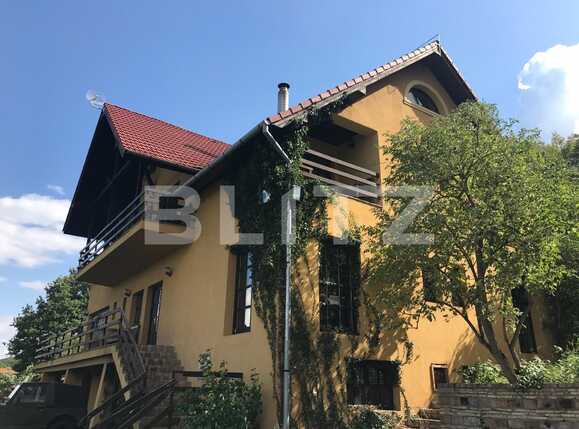 Spațiu comercial de vânzare Exterior Vest - 27669SVC | BLITZ Cluj-Napoca | Poza2