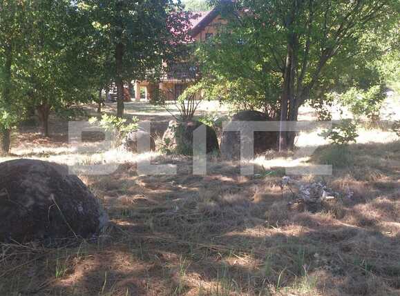 Spațiu comercial de vânzare Exterior Vest - 27669SVC | BLITZ Cluj-Napoca | Poza20