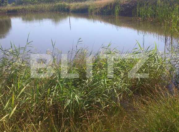 Spațiu comercial de vânzare Exterior Vest - 27669SVC | BLITZ Cluj-Napoca | Poza19