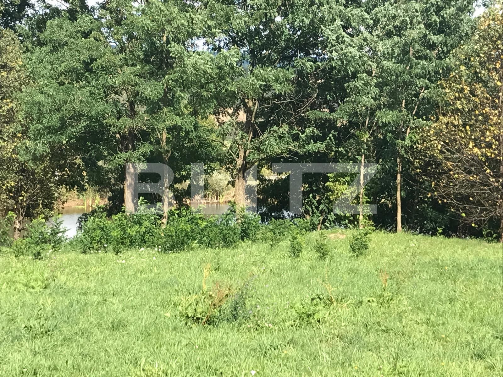 Spațiu comercial de vânzare Exterior Vest - 27669SVC | BLITZ Cluj-Napoca | Poza17