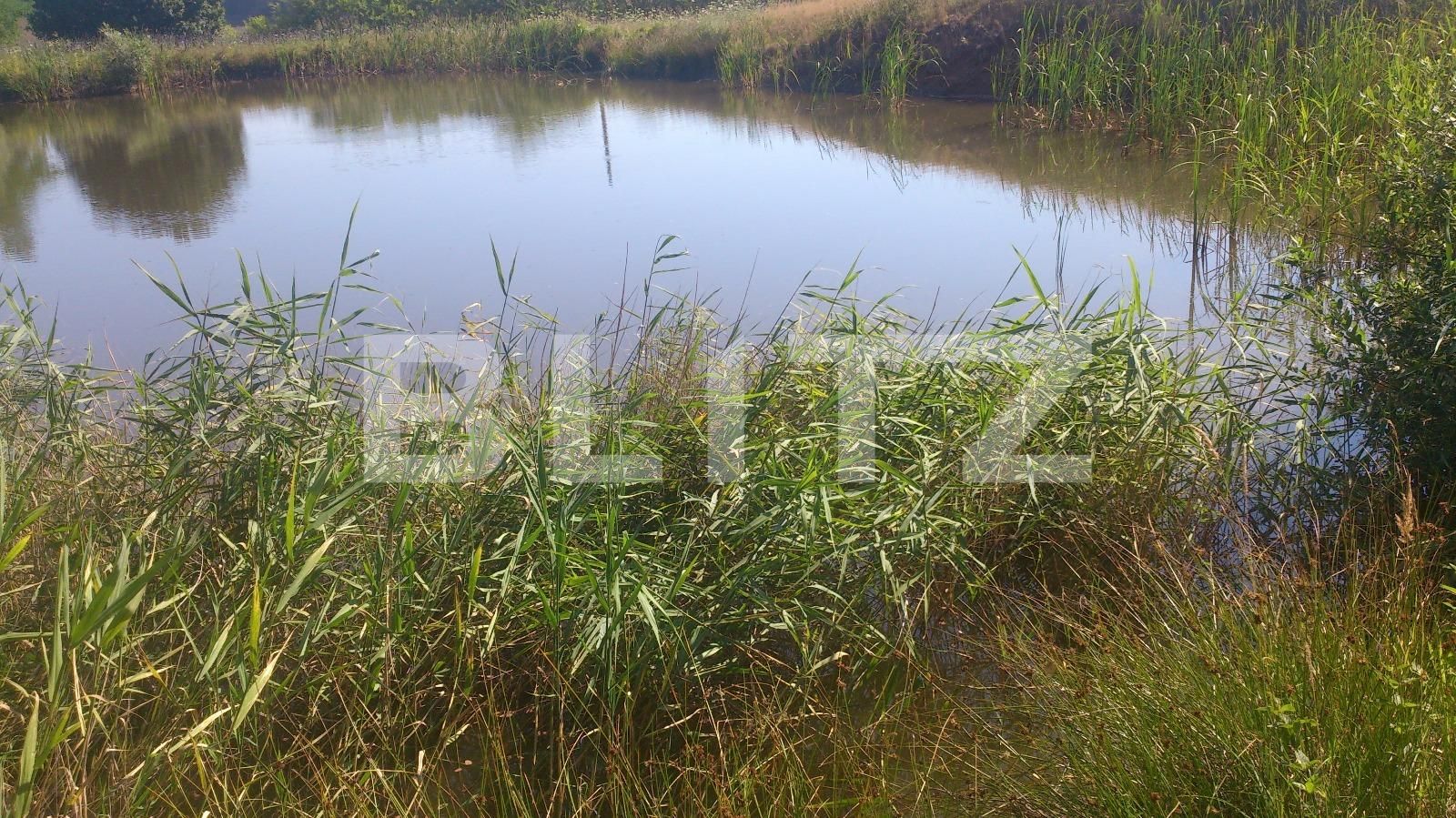 Spațiu comercial de vânzare Exterior Vest - 27669SVC | BLITZ Cluj-Napoca | Poza19