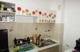 De vanzare garsoniera, 28 mp, balcon! Zona Pietei Flora!