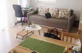 O garsoniera indrazneata cu alura de apartament