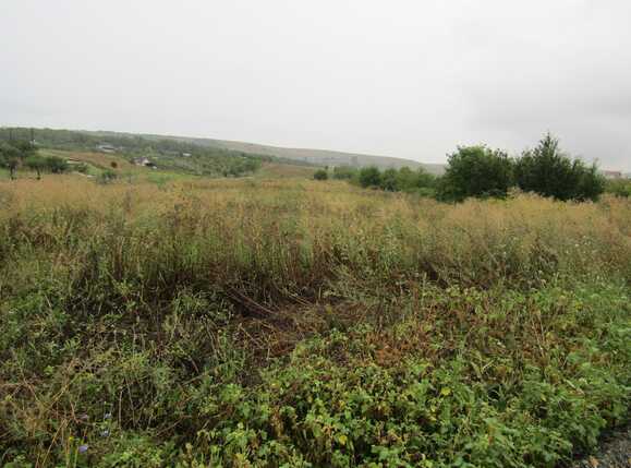 Teren de vânzare Sopor - 27700TV | BLITZ Cluj-Napoca | Poza1