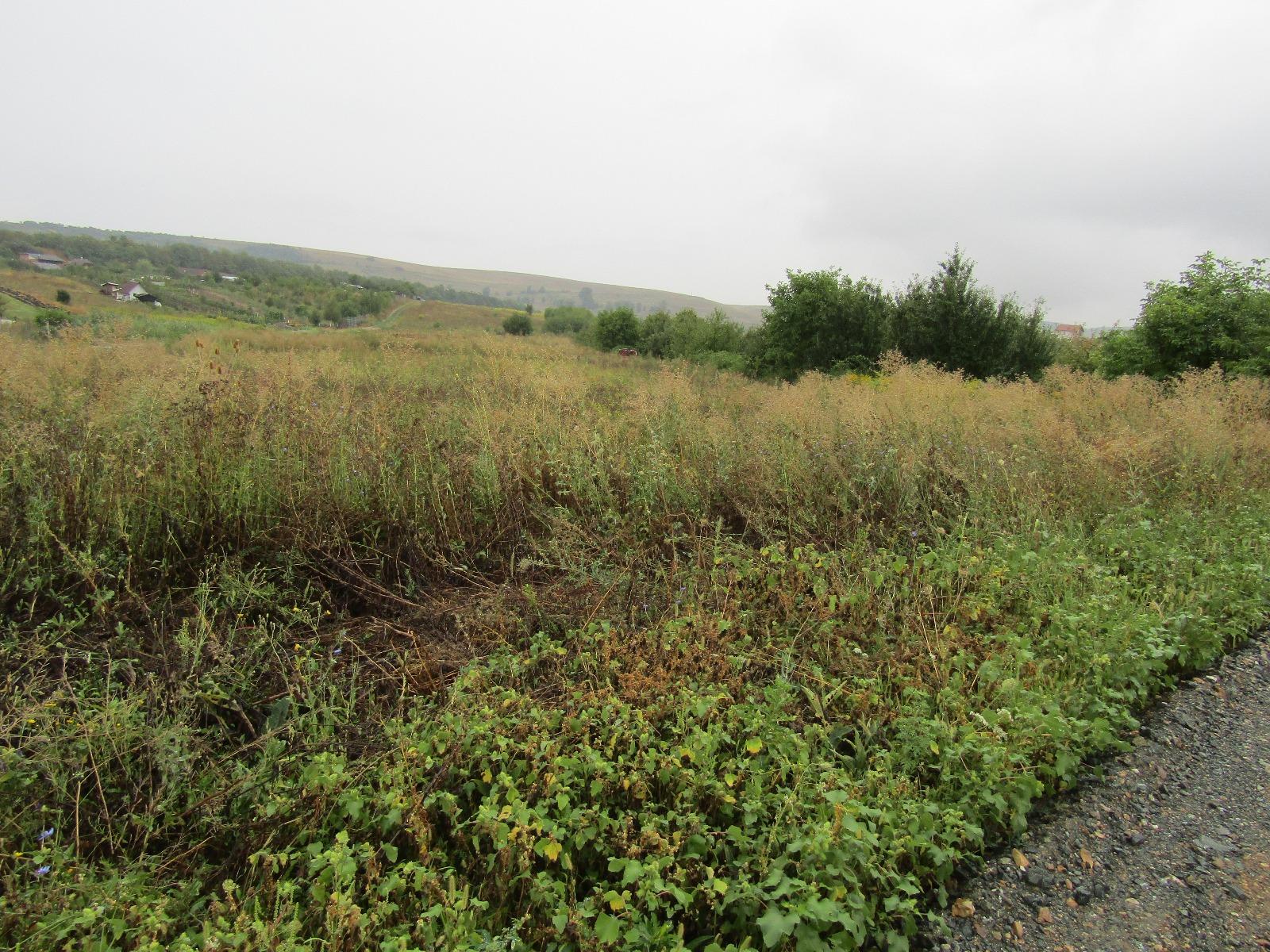 Teren de vânzare Sopor - 27700TV | BLITZ Cluj-Napoca | Poza2