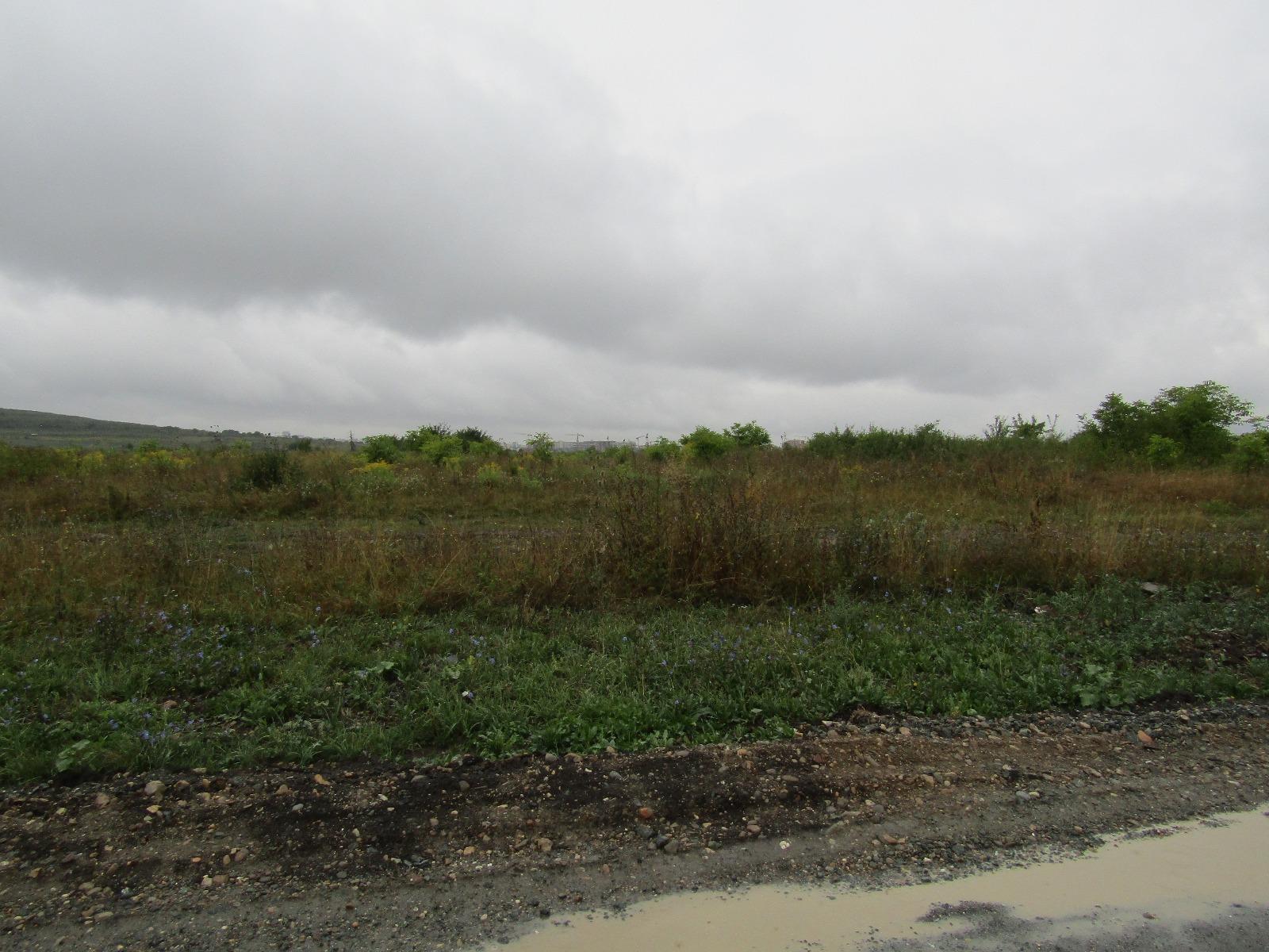 Teren de vânzare Sopor - 27700TV | BLITZ Cluj-Napoca | Poza4