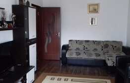 Apartament pentru o familie numeroasa