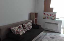 De vanzare garsoniera 18 mp, zona Parcului Central