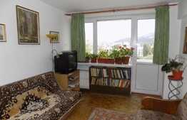 Apartament 2 camere, 50 mp, zona Restaurantului Sinaia