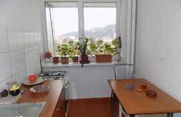 Apartament 2 camere, 50 mp, zona Restaurantului Sinaia