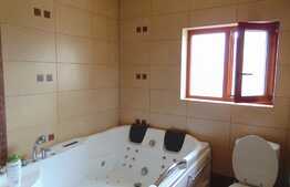 Casa individuala, 370 mp, teren de 480 mp, mobilata modern, zona linistita!