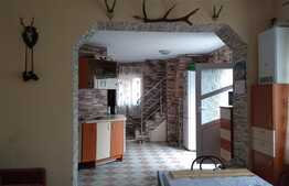 Doua case de vanzare, 108 mp, teren 281 mp, zona centrala!