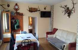 Doua case de vanzare, 108 mp, teren 281 mp, zona centrala!