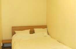 2 camere, 67 mp, mobilat utilat!