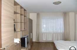 2 camere, 67 mp, mobilat utilat!