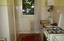 De vanzare apartament 2 camere, 47 mp, decomandat, boxa, zona Profi