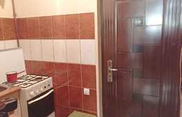 De vanzare garsoniera, 22 mp, zona strazii Fabricii