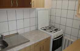 Garsoniera, 28 mp, prima inchiriere, zona Profi