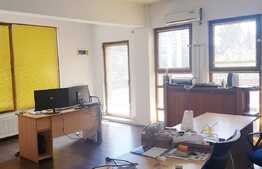 Spatiu pentru birouri, 370 mp, zona TVR! 6 parcari incluse!