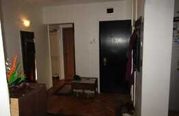 Apartamentul ce-si asteapta familia!