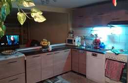 2 case individuale de vanzare, 252 mp utili, teren de 698 mp, zona linistita