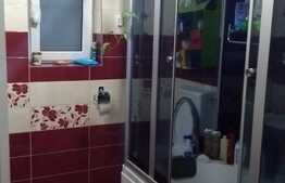 2 case individuale de vanzare, 252 mp utili, teren de 698 mp, zona linistita