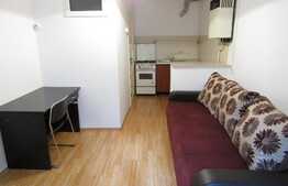 De vanzare garsoniera 18 mp, mobilata, zona Casa de Cultura a Studentilor