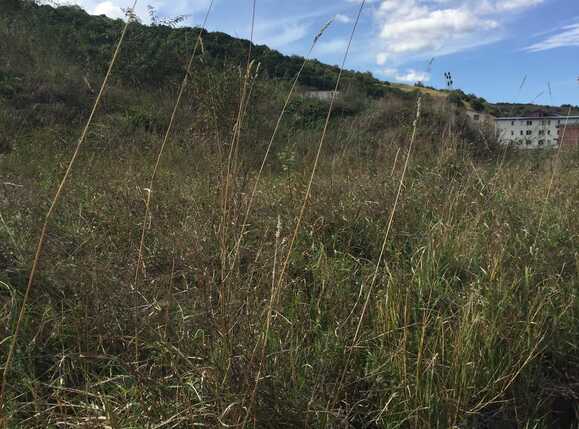 Teren de vânzare Floreşti - 27898TV | BLITZ Cluj-Napoca | Poza1