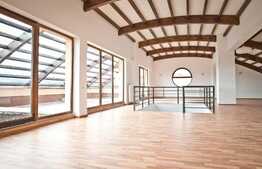 Traieste exclusivismul adus de un penthouse!