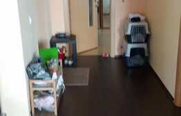 Apartamentul ce iubeste culorile!