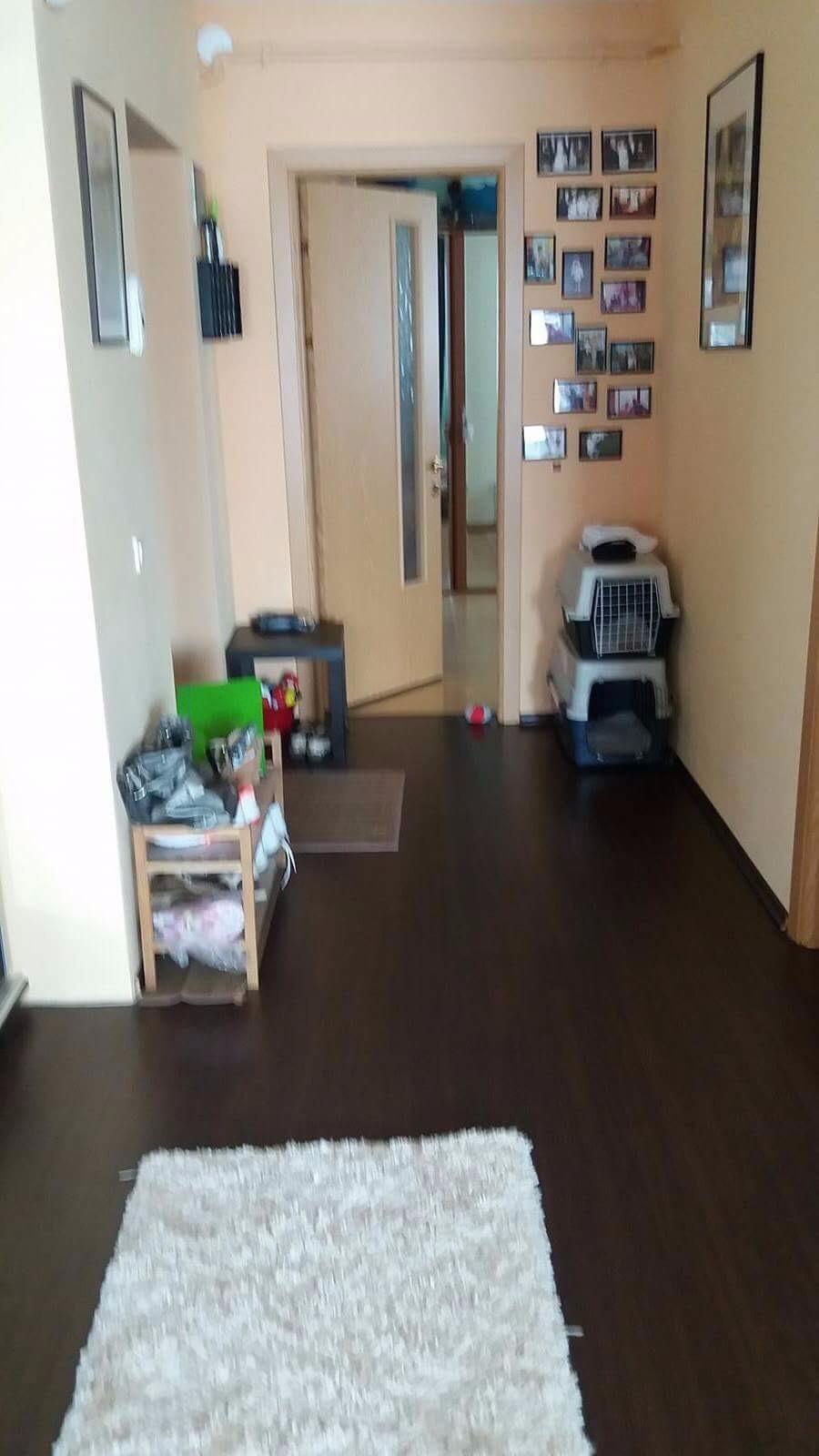 Apartament de vânzare 2 camere Baciu - 27949AV | BLITZ Cluj-Napoca | Poza4