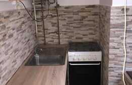 2 camere, 50 mp, terasa, zona Piata Unirii