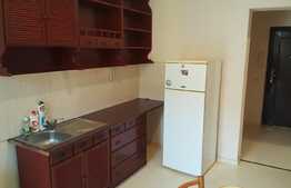 Garsoniera de vanzare, 35 mp, balcon, etaj intermediar, zona strazii Porii