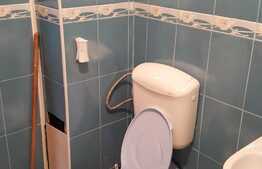 Garsoniera de vanzare, 35 mp, balcon, etaj intermediar, zona strazii Porii