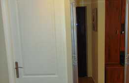 Apartament 1 camera decomandata,40 mp,  terasa 56 mp, parcare, garaj, zona Hasdeu