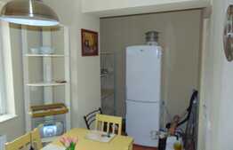 Apartament 1 camera decomandata,40 mp,  terasa 56 mp, parcare, garaj, zona Hasdeu