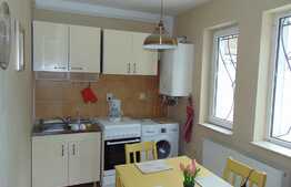 Apartament 1 camera decomandata,40 mp,  terasa 56 mp, parcare, garaj, zona Hasdeu